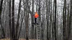 Cold weather, snowy conditions expected ahead of Wisconsin's annual 9-day gun deer season