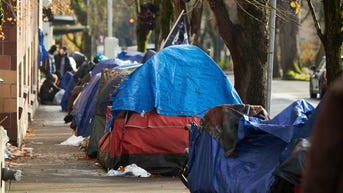 Dem-run city's homeless crisis spirals out of control: 'This is their vision of utopia'