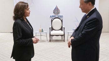 VP Harris, China's Xi meet to 'keep lines of communication open'