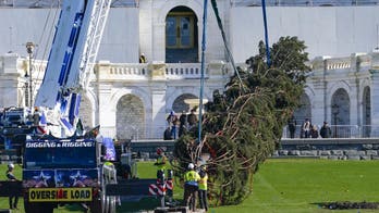 Capitol Christmas Tree arrives in Washington, DC after 13-day trip from North Carolina