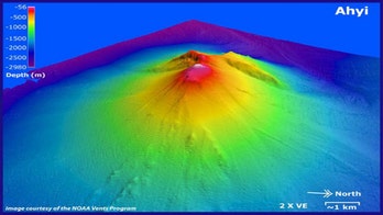 Large underwater volcano likely erupting beneath Pacific Ocean's surface, scientists warn