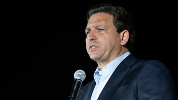 Professor blasted for claiming DeSantis hasn’t yet faced national media: ‘Have you been living under a rock?’