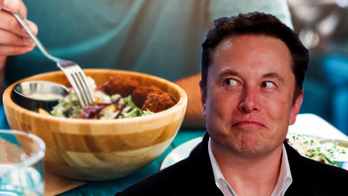 Elon Musk mocks claim he's starving Twitter employees for ending free lunches: ‘Is this a parody?’