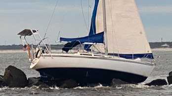 Coast Guard, Florida firefighters rescue 2 people and a cat after waves smash sailboat onto jetties