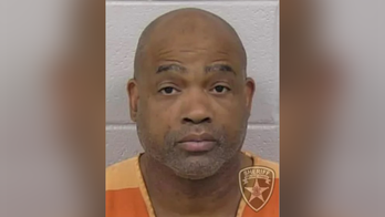 Georgia man arrested in dog-fighting ring bust, more than 100 dogs rescued