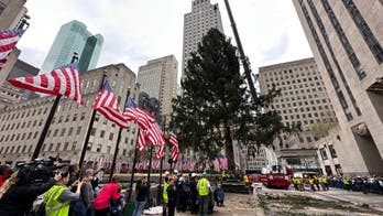 Iconic Rockefeller Center Christmas tree arrives in NYC: 'It's a special tree'