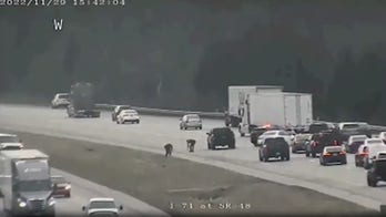 Ohio drivers stop to scoop up cash spilled on the road