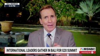 Top White House aide claims midterm results show world leaders 'health and vibrancy' of US democracy