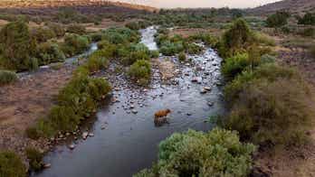 Israel, Jordan sign declaration of intent at UN climate conference to conserve, protect Jordan River