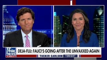Tulsi Gabbard blasts Dr. Fauci for refusing to answer questions in last briefing: 'They continue to lie'
