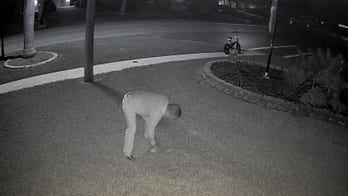 Florida vandal caught on camera spray-painting lawns, homes of Trump supporters