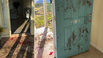 Florida burglary suspect arrested after neighbor, dog find trail of blood leading into home: deputies