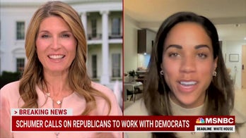 Nicolle Wallace claims Republicans ran as ‘arsonists’ trying to ‘burn down’ democracy