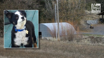 Idaho police: Dog found skinned head-to-tail is unrelated to college students' murders
