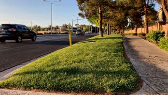 Western US cities to remove decorative grass to reduce water use amid shortage