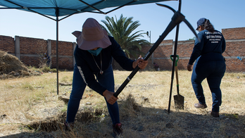 Mexican searchers exhume 53 bags of human remains after dog is spotted carrying human hand