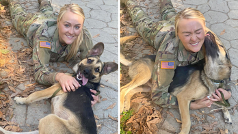 US soldier cares for injured dog overseas, now hopes to bring him home: ‘Best Christmas present ever’