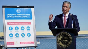 California sues companies for covering up its ‘forever chemicals’ that have tainted waterways, bloodstreams