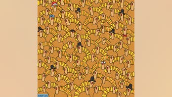 How fast can you find a pumpkin hidden in a group of turkeys?