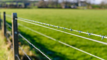 On this day in history, Nov. 24, 1874, the first commercially successful barbed wire is patented