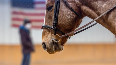 Illinois therapeutic riding program helps veterans through healing power of horses
