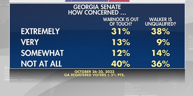 Georgia voters' issues with each Senate candidate.