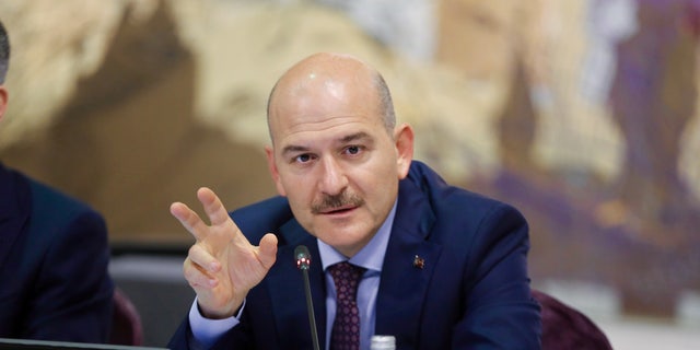 Interior Minister Suleyman Soylu speaks during a news conference in Istanbul, Turkey, August 21, 2019.