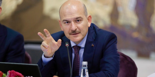 Interior Minister Suleyman Soylu speaks during a news conference in Istanbul, Turkey, August 21, 2019.