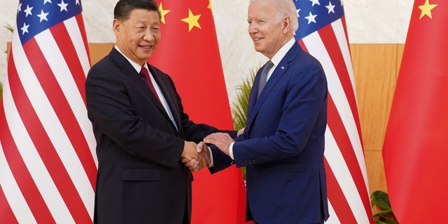 U.S. President Joe Biden shakes hands with Chinese President Xi Jinping as they meet on the sidelines of the G20 leaders' summit in Bali, Indonesia, November 14, 2022. REUTERS/Kevin Lamarque