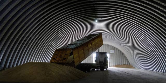A dump truck unloads grain into a barn in the village of Zghurivka, Ukraine, on August 9, 2022. 