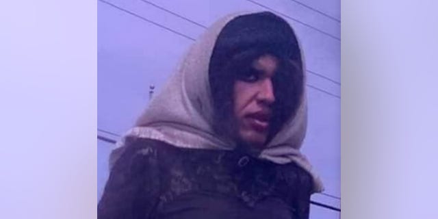 A Puerto Rican transgender woman named Alexa Negron Luciano was assaulted by three men with paintball guns in February 2020. The next day, the victim was found dead on the side of the road in Toa Baja, Puerto Rico.