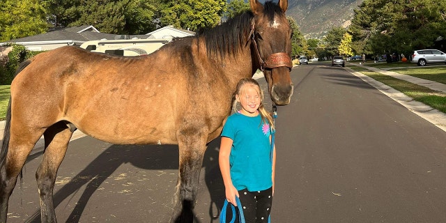 Shane Adams' daughter, Anna, leads Mongo through the streets of Utah.