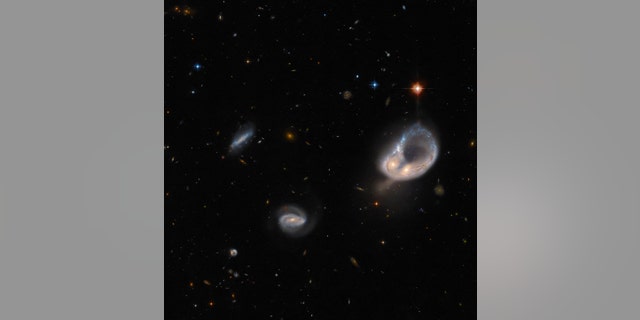 The galaxy merger Arp-Madore 417-391 steals the spotlight in this image from the NASA/ESA Hubble Space Telescope. The Arp-Madore catalogue is a collection of particularly peculiar galaxies spread throughout the southern sky and includes a collection of subtly interacting galaxies as well as more spectacular colliding galaxies. 
