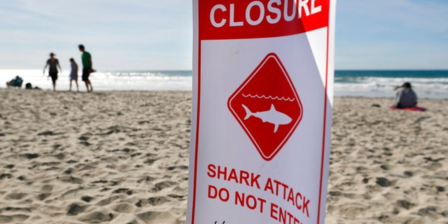 A closure sign is posted off Del Mar beach, north of San Diego, after a 50-year-old woman was bitten by a shark in the water prompting a beach closure of at least 48 hours in the area, city lifeguard officials said on Nov. 4, 2022.