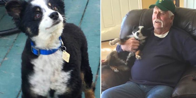 Buddy, a 12-year-old Australian shepherd, was found skinned and filleted Oct. 21, 2022 — three miles from the home where four University of Idaho students were slaughtered on Nov. 13, 2022. At right are Buddy and his owner, Jim Colbert.