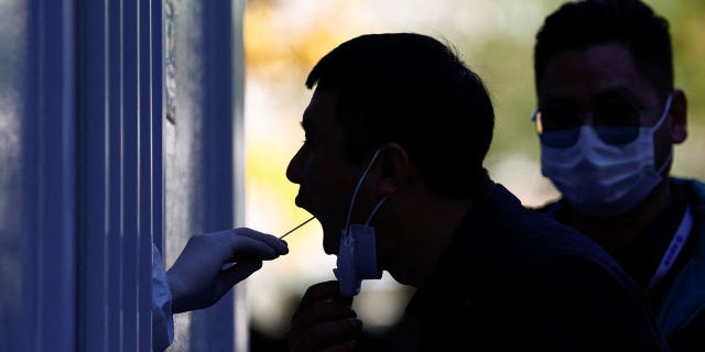 China sees spike in numbers of daily coronavirus cases in Beijing, other cities 1 A man has his swab sample taken during nucleic acid test for the coronavirus disease at a testing booth near an office building in Central Business District in Chaoyang district, Beijing, China, on Nov. 15, 2022.