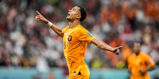 Cody Gakpo of the Netherlands celebrates after scoring his team's first goal against Qatar, at the Al Bayt Stadium in Al Khor, Qatar, Tuesday, November 29, 2022.
