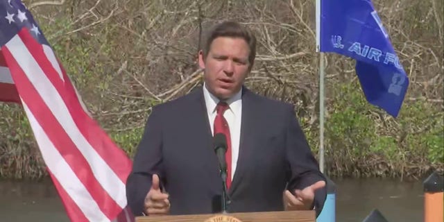 Florida Gov. Ron DeSantis reacted to the midterm election results Wednesday.