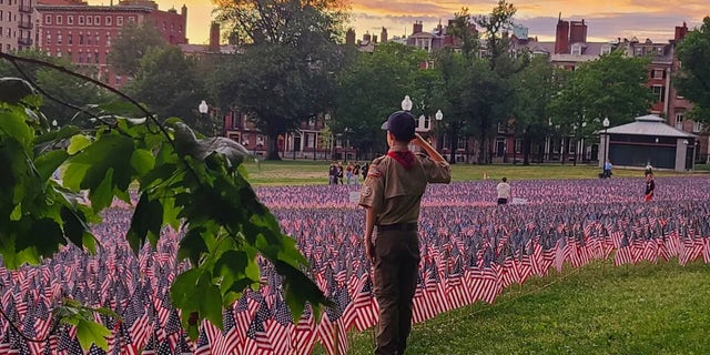 Dylan Smith of New York, in his scouting uniform, salutes American flags commemorating U.S. veterans. 