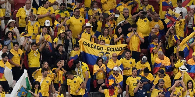 Los fanáticos ecuatorianos celebran después de un partido de fútbol del Grupo A de la Copa Mundial entre Qatar y Ecuador en el estadio Al Bayt en Al Khor, Qatar, el domingo 20 de noviembre de 2022.
