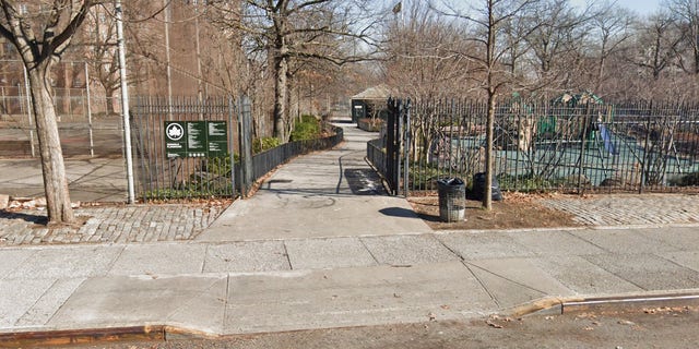 Police said the shooting took place near Edenwald Playground on Schieffelin Avenue near East 225th Street.