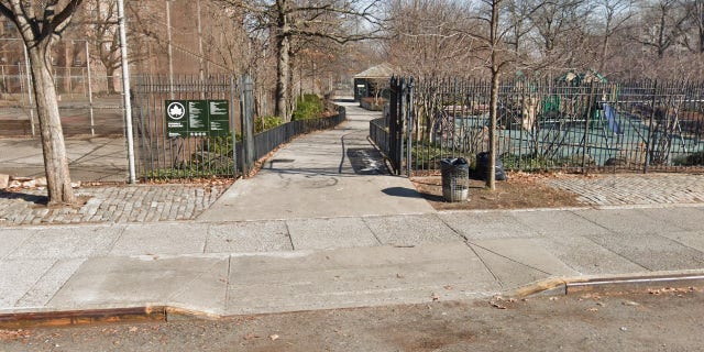 Police said the shooting took place near the Edenwald Playground on Schieffelin Avenue, near East 225th Street.