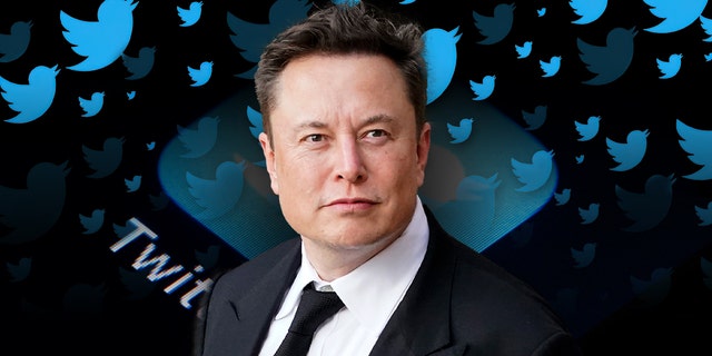 Twitter owner Elon Musk