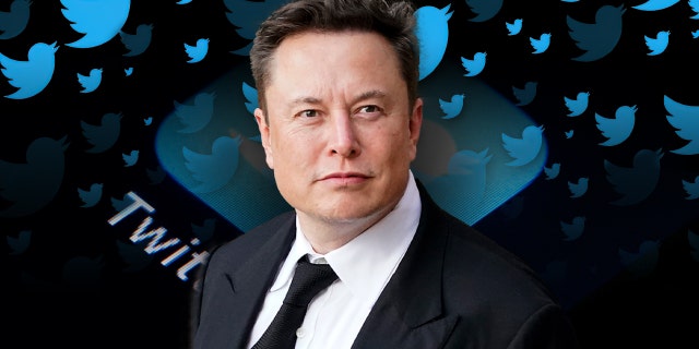 Twitter owner Elon Musk