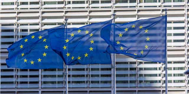 Flags that symbolize the European Union are seen waving on a pole at the Belgian capital in front of the Le Berlaymont building in Brussels. Environmental groups are calling for the E.U. to remove carbon removal methods from its climate plans.