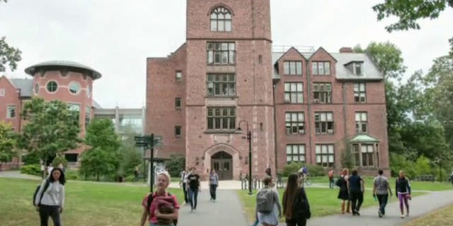 Annabella Rockwell attended Mount Holyoke College in rural Massachusetts from 2011-2015. 