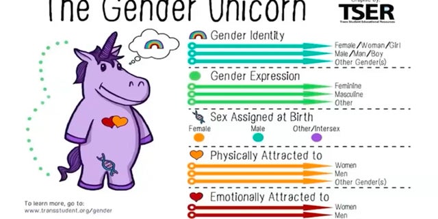 Danita McCray introduces "age-appropriate" gender unicorn and discusses "pertinent" terms for the early childhood age group.