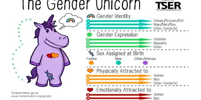 Danita McCray introduces "age-appropriate" gender unicorn and discusses "relevant" terms for the early childhood age group. 