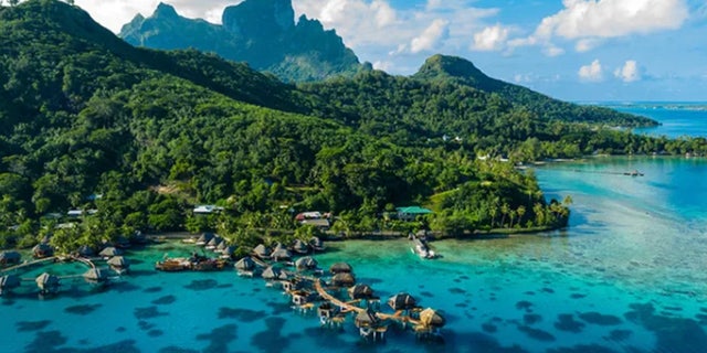 The tropical paradise of French Polynesia.  Dilek Ertek, 71, fell from her cabin on a Norwegian cruise ship on October 25 off the coast of Tahiti in French Polynesia.