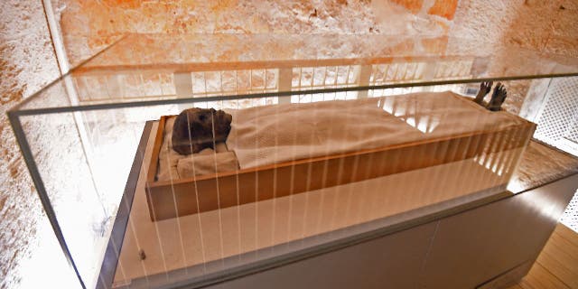 This picture taken on January 31, 2019, shows the linen-wrapped mummy of the 18th dynasty Pharaoh Tutankhamun, displayed in a climate-controlled glass case in his underground tomb (KV62) in Egypt's Valley of the Kings. The famous tomb reportedly underwent a nine-year conservation by a team of international specialists.